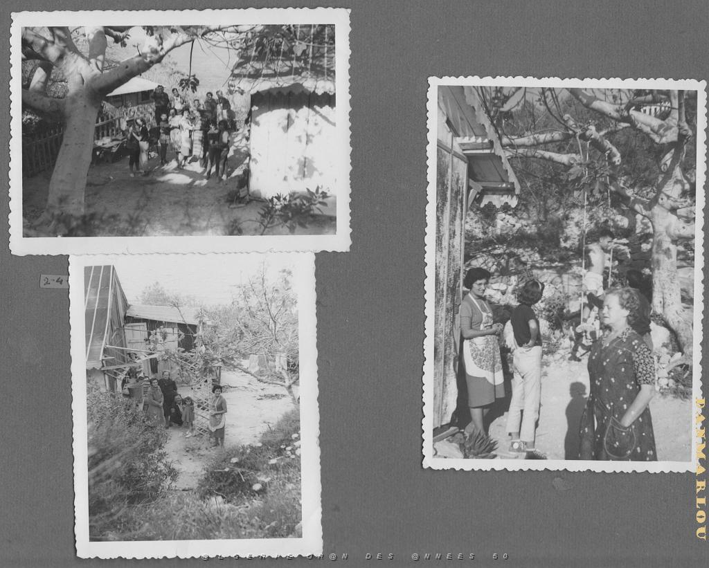 FAMILLE  44.jpg